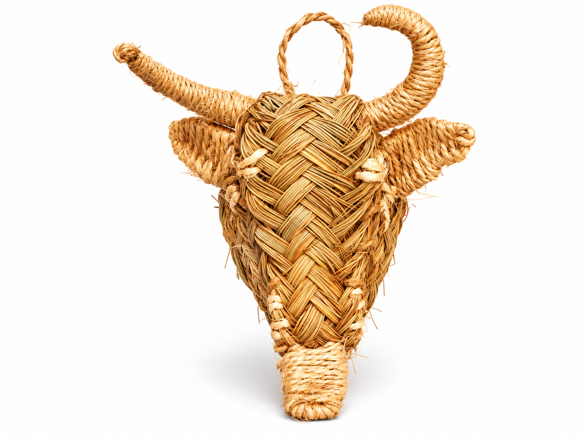 Toro